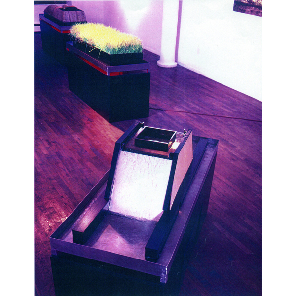 Michael Jensen, installations: Sic Mut Gloria Mundi