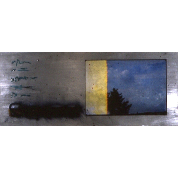 Michael Jensen, mixed media: Forest Series #1