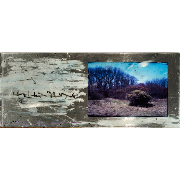 Michael Jensen, mixed media: Forest Series #6