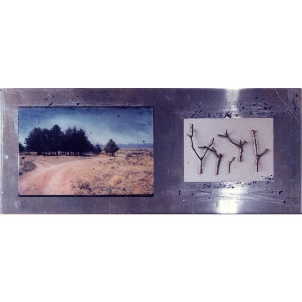Michael Jensen, mixed media: Forest Series, Twigs